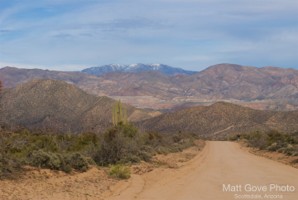 Picture 16