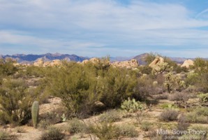 Picture 21