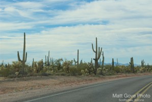 Picture 24