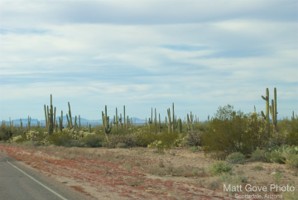 Picture 25