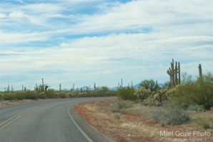 Picture 26