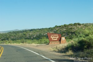 Picture 1