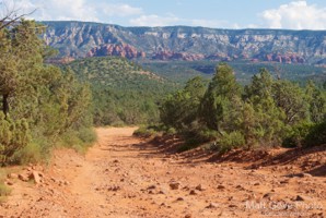 Picture 15
