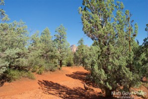 Picture 24