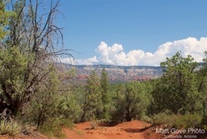 Picture 38