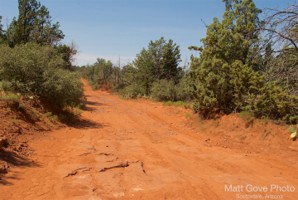 Picture 39