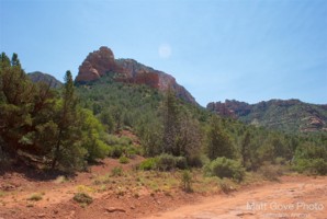 Picture 44