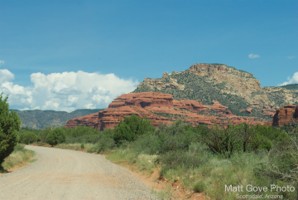 Picture 53