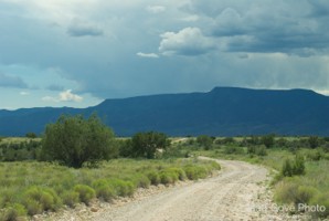 Picture 74