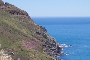 Picture 14