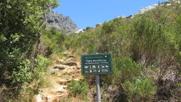 Picture 27