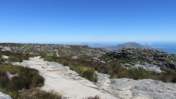 Picture 35