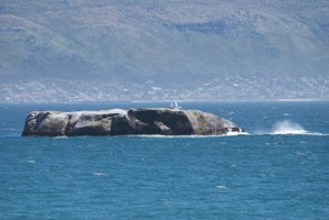 Picture 8