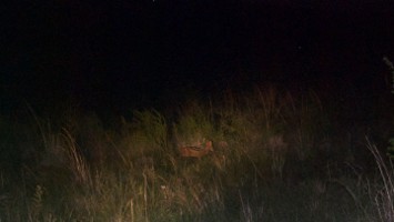 Picture 12