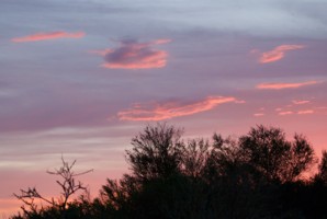 Picture 27