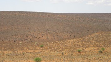 Picture 34