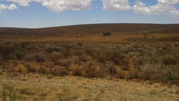Picture 35