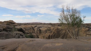 Picture 42
