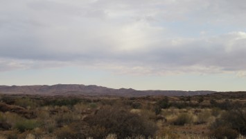 Picture 45