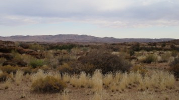 Picture 46
