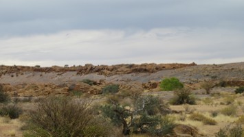 Picture 55