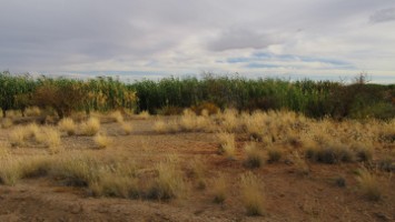 Picture 57