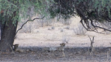 Picture 21