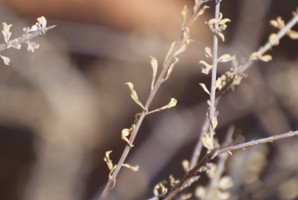 Picture 43