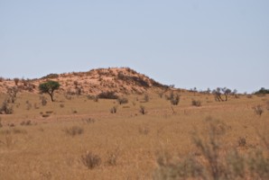 Picture 46