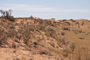 Picture 56