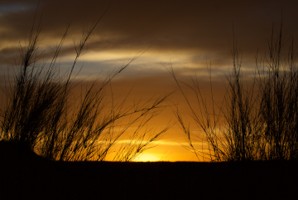 Picture 82