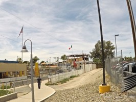 Picture 7