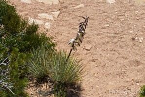 Picture 10