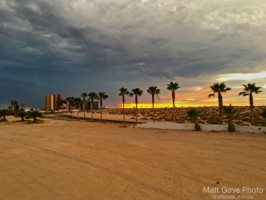 Picture 15