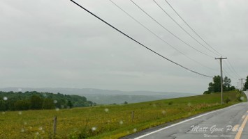 Picture 25