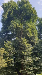 Picture 42