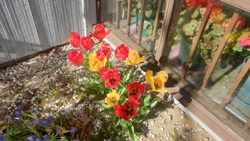 Picture 2