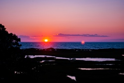 Picture 10