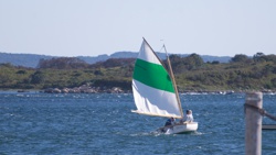 Picture 12