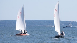 Picture 15