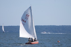 Picture 16