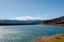Picture 7