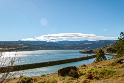 Picture 9