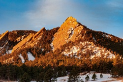 Picture 14