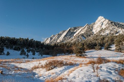 Picture 16
