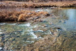Picture 42
