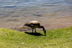 Picture 43