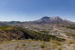 Picture 26