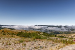 Picture 45