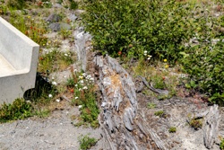 Picture 57